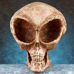 Alien Skull