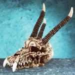 Dragon Skull