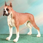 Boxer Figurine - Domestic Dog