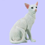 Oriental Short Hair Figurine - Domestic Thoroughbred Cat