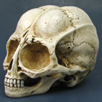 Alien Skull