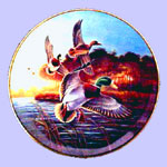 Classic Waterfoul Ducks - Lynn Kaatz