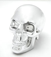 Electroplated Skull