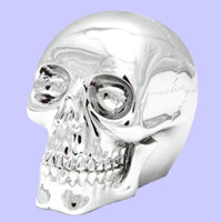 Electroplated Skull