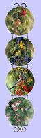 Garden Bounty Mini Plates