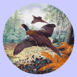 Braithwaite Game Birds - Derek Braithwaite