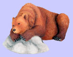 Grizzly Bear Sleeping