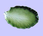 Iceburg Lettuce Plate