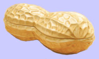 Peanut Container