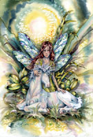 Jody Bergsma Prints Unicorn Faerie