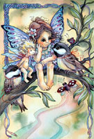 Jody Bergsma Prints Beautiful World