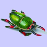 Bug Jeweled Box