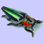 Bug Jeweled Box