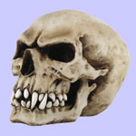 Vampire Skull