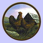 Rooster Plate - Trevor Swanson  - Kings of The Roost - Rhode Island Red