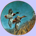 Federal Duck Stamps 