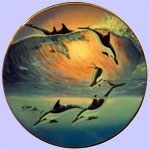 Sunrise  Reverie - Dolphin Discovery
