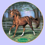 Race Horse - Champion Thoroughbreds - Susie Morton