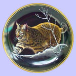 Bobcat - Nature's Nighttime Realm