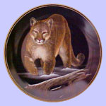 Cougar - Nature's Nighttime Realm