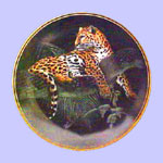 Jaguar - Nature's Nighttime Realm
