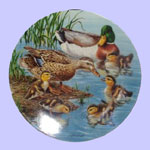 Nature's Nursery Ducks - Joe Thornbrugh