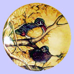 Ducks for all Seasons - Robin N Rodgers