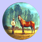 Man O' War - Race Horse - Sport of Kings - Fred Stone