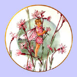 Fairies of the Field & Flower - Cecely Mary Barker - Ragged Robin Fairy