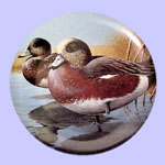 American Water Birds - Rod Lawrence