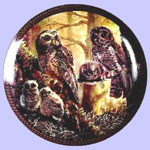 Family Circle - Don L Rust - Owl Families