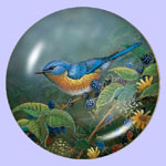 Berry Bush Lookout - Bluebird - Samm Timm