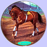 Race Horse - Champion Thoroughbreds - Susie Morton