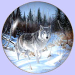 Wild One - Wolf  -  Jim Kasper