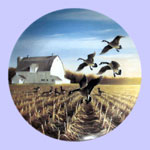Lynn Kaatz - Classic waterfowl: Ducks -  Canada Geese In The Autumn Field