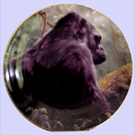 Diana Arts Fine Art and Collectibles-Grant Hacking-Young Silverback