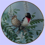 Treasury Of Songbirds - Rob Stine - Alluring Daylight
