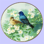 Treasury Of Songbirds - Rob Stine -Sapphire Dawn