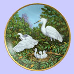Jim Faulkner - The Snowy Egret