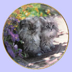 Cuddly Kittens - Nancy Matthews