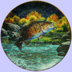 Angler's Prize - Mark Susinno