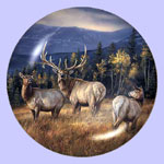 Autumn Gold - Elk - Rosemary Millette