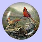 Autumn At Holy Hill - Cardinals - Sam Timm