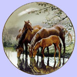 Taste of Spring - Mother and  baby  - Horse and foul
