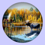 The Loner - Moose - Jim Kasper