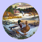 Living With Nature:  Jerner's Ducks - Bart Jerner