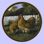 Rooster Plate - Trevor Swanson