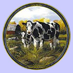 Cow- Farm Animals - Trevor Swanson