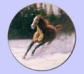 Majestic Spirits - Horse & Pony - Gregory Perillo