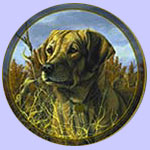 Portrait Hound Series - Hoosier - Trevor Swanson - Yellow Labrador Retriever